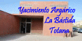 Yacimiento Arg�rico de 