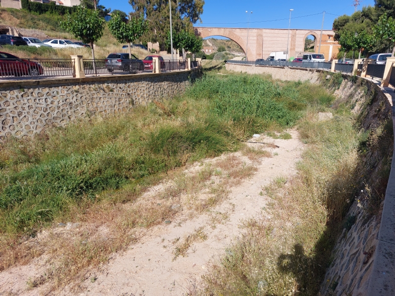 El Ayuntamiento solicita a la Confederación Hidrográfica del Segura que proceda a la fumigación y limpieza del río Guadalentín y ramblas