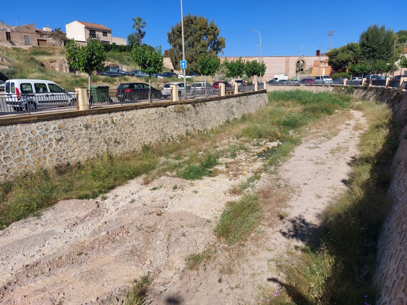 El Ayuntamiento solicita a la Confederación Hidrográfica del Segura que proceda a la fumigación y limpieza del río Guadalentín y ramblas