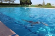 La afluencia de usuarios a las piscinas públicas municipales de Totana bate este verano récord de asistencia    - Foto 1