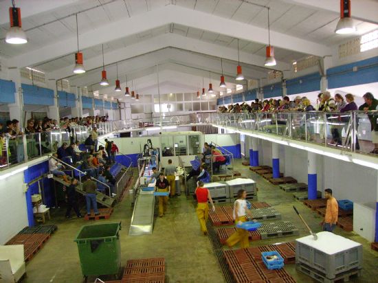 foto noticia foto noticia