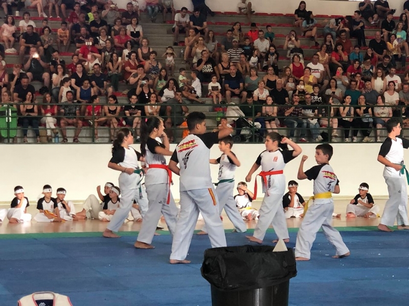 El Club Taekwondo Totana clausura temporada con una exhibicin de sus ms de 80 alumnos en el Pabelln de Deportes Manolo Ibez