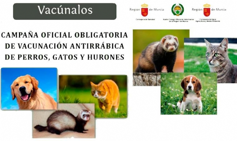 Comienza la campaa anual de vacunacin antirrbica obligatoria para los animales de las especies canina, felina y hurones