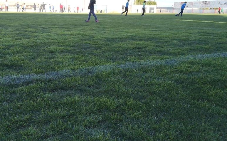 Se retoma el uso del estadio municipal "Juan Cayuela" tras los trabajos de resiembra del césped acometidos el pasado mes de noviembre