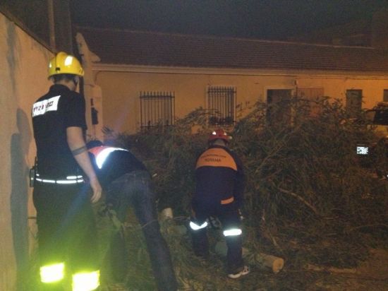 PROTECCIÓN CIVIL RETIRA UN ÁRBOL DEL CEIP 