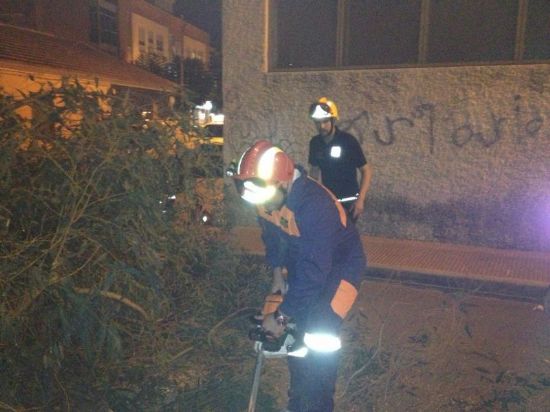 PROTECCIÓN CIVIL RETIRA UN ÁRBOL DEL CEIP 