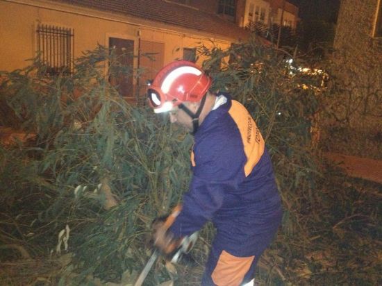 PROTECCIÓN CIVIL RETIRA UN ÁRBOL DEL CEIP 