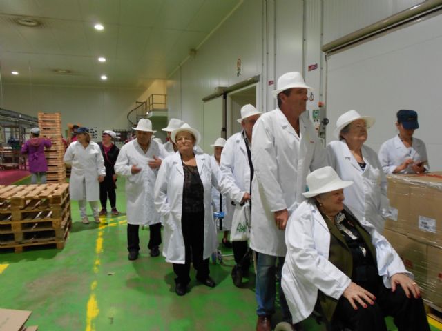 Los Centros de Da para Personas Mayores Dependientes de Totana visitan la empresa de produccin y comercializacin de uva de mesa MOYCA