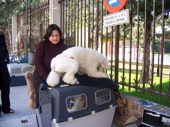 LA FERIA DE DA CON LA ACTUACIN DE LA BATUKADA, EL TREN TURSTICO, LA CARPA MUNICIPAL Y LA FERIA DE ATRACCIONES ABREN EL PROGRAMA DE ACTIVIDADES DE LAS FIESTAS DE SANTA EULALIA2007