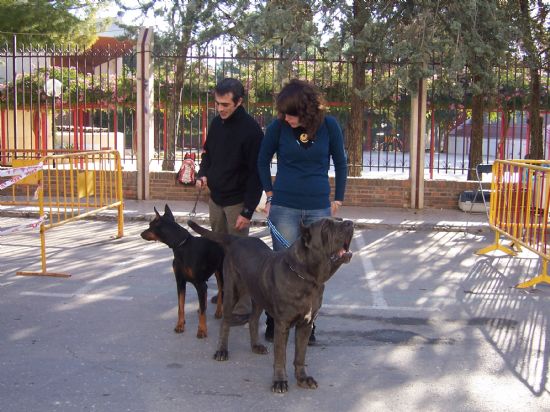 LA FERIA DE DA CON LA ACTUACIN DE LA BATUKADA, EL TREN TURSTICO, LA CARPA MUNICIPAL Y LA FERIA DE ATRACCIONES ABREN EL PROGRAMA DE ACTIVIDADES DE LAS FIESTAS DE SANTA EULALIA2007