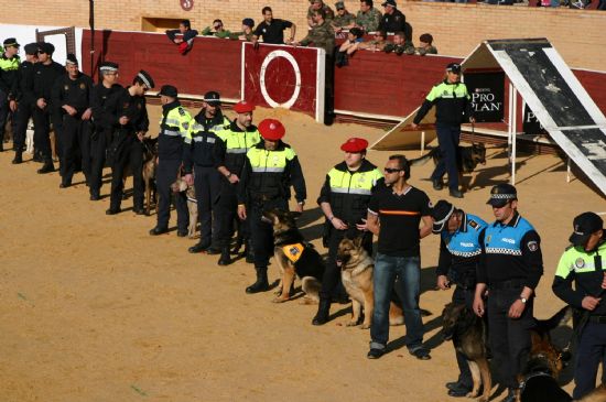 foto noticia