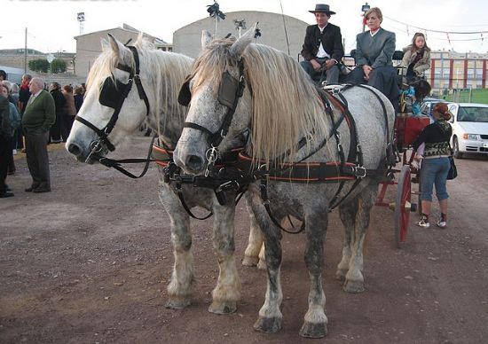 LA FERIA DE DA, LA CARPA MUNICIPAL Y LA FERIA ABREN EL PROGRAMA DE ACTIVIDADES DE LAS FIESTAS DE LA SANTA2006