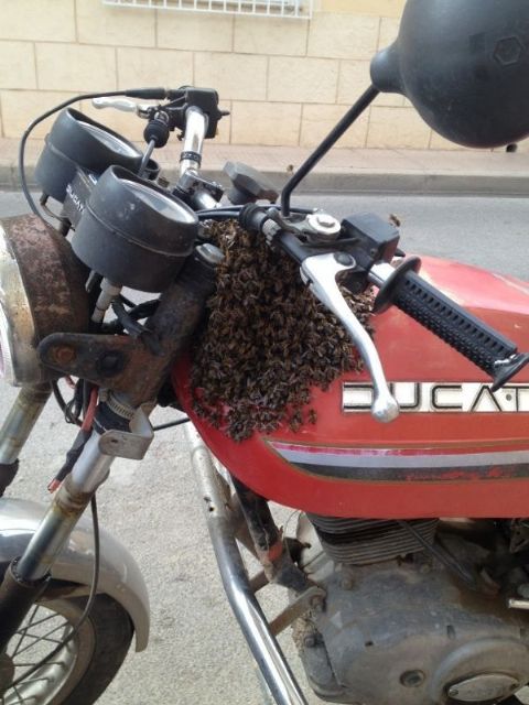 foto noticia
