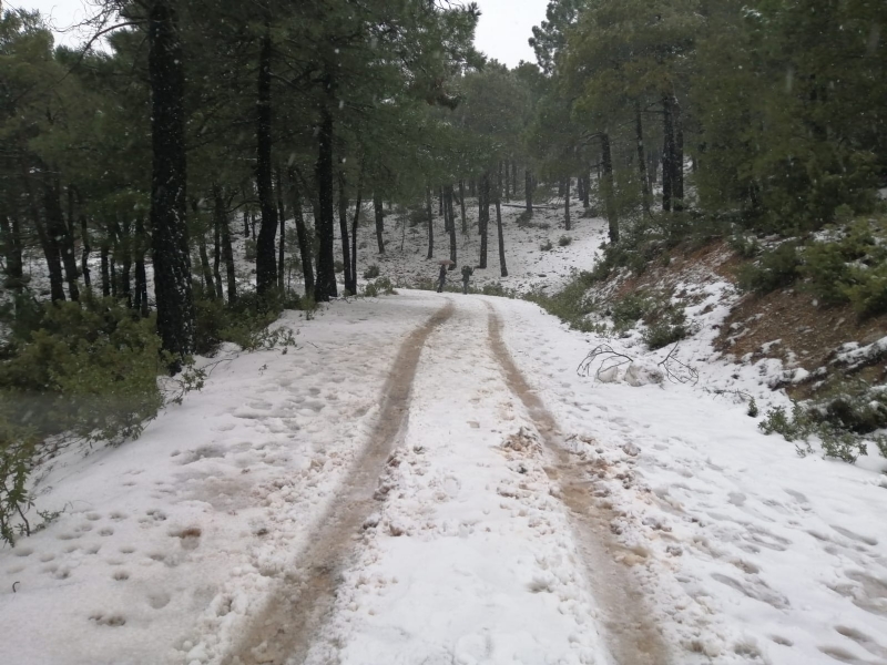 Vdeo. Se recomienda precaucin a los conductores en la subida hacia Sierra Espua debido al riesgo causado por la nieve