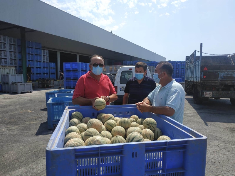 Agricultores y cooperativas de Totana entregan fruta fresca a Critas de las Tres Avemaras gracias a las gestiones del concejal de Bienestar Social
