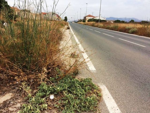 La Concejala de Infraestructuras solicita a la Direccin General de Carreteras la limpieza de cunetas en varias vas secundarias del trmino municipal y la travesa de El Paretn-Cantareros