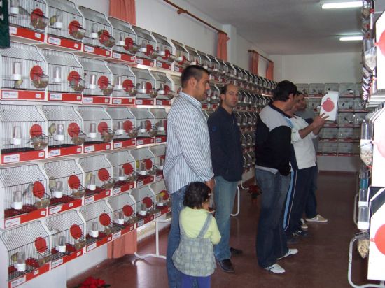 EL LOCAL SOCIAL DEL BARRIO SAN FRANCISCO ACOGE LA V EDICIN DE LA EXHIBICIN ORNITOLGICA FIESTAS SANTA EULALIA CON LA PARTICIPACIN DE MS DE 