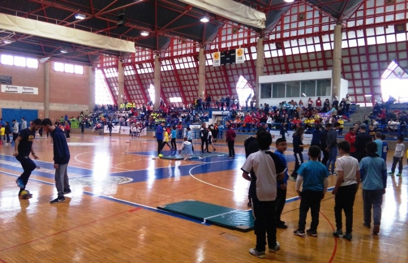 El Colegio "Tierno Galván" de Totana participó en la Final Regional de Jugando al Atletismo de Deporte Escolar, celebrada en Alcantarilla