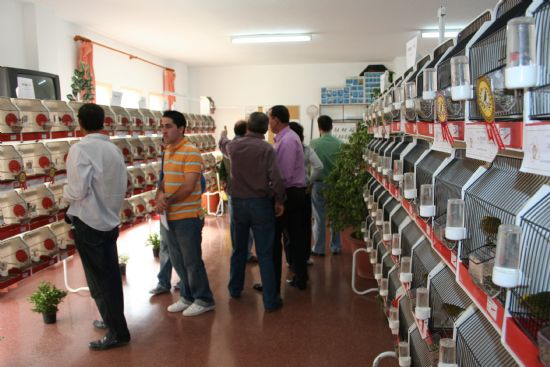 AUTORIDADES MUNICIPALES ENTREGAN LOS TROFEOS DEL "VII CONCURSO MONOGRÁFICO DE LIZARD", ORGANIZADO POR LA ASOCIACIÓN DEPORTIVA ORNITOLÓGICA SANTA EULALIA DE TOTANA (ADOSET),  EN EL CENTRO SOCIAL DEL BARRIO SAN FRANCISCO