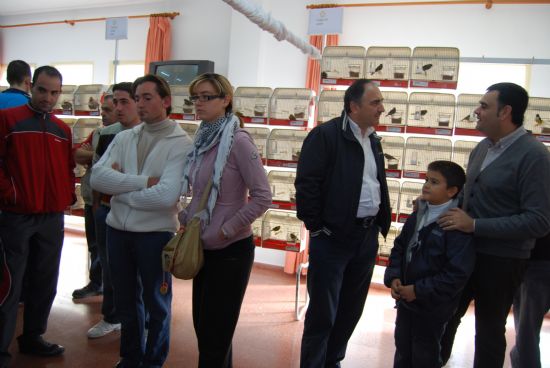 EL LOCAL SOCIAL DEL BARRIO SAN FRANCISCO ACOGE LA VII EDICIÓN DE LA "EXHIBICIÓN ORNITOLÓGICA FIESTAS SANTA EULALIA" CON LA PARTICIPACIÓN DE CERCA DE 600 EJEMPLARES