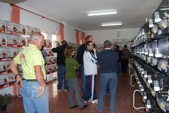 EL LOCAL SOCIAL DEL BARRIO SAN FRANCISCO ACOGE LA VII EDICIÓN DE LA "EXHIBICIÓN ORNITOLÓGICA FIESTAS SANTA EULALIA" CON LA PARTICIPACIÓN DE CERCA DE 600 EJEMPLARES