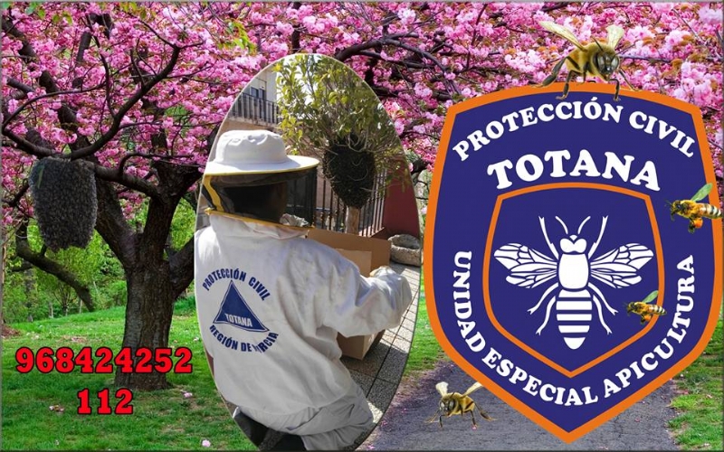 La Unidad de Apicultura de Proteccin Civil activa el dispositivo de recogida de enjambres de abejas en el municipio coincidiendo con la floracin primaveral