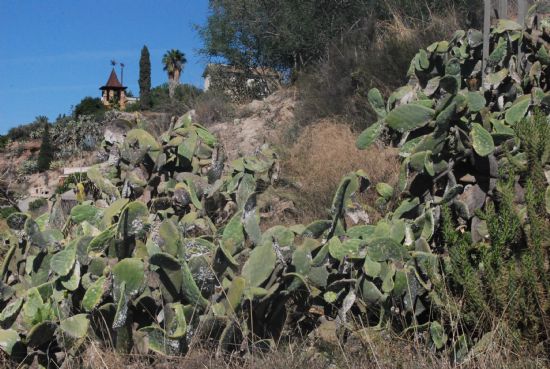 foto noticia foto noticia