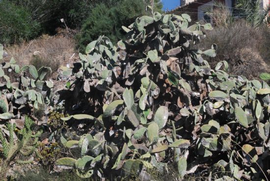 foto noticia foto noticia