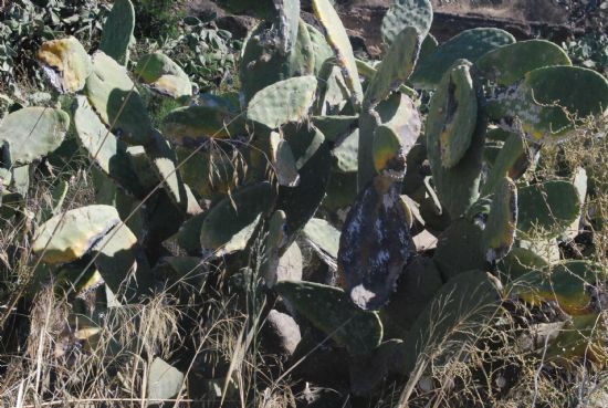 foto noticia foto noticia