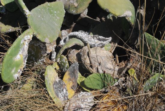 foto noticia foto noticia