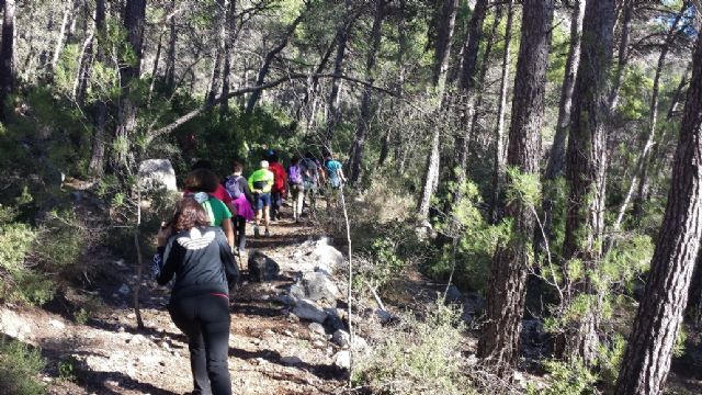 Una treintena de personas participaron en la jornada de senderismo por la Senda del Piojo (Sierra Espuña), enmarcada en el programa organizado por la Concejalía de Deportes 