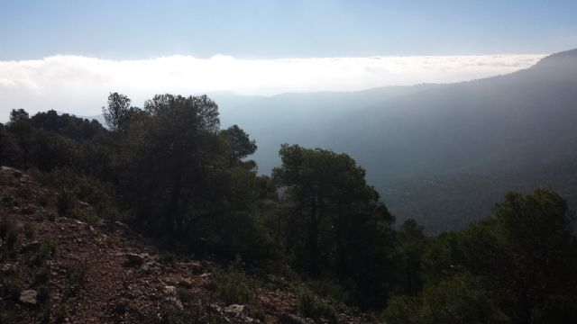 Una treintena de personas participaron en la jornada de senderismo por la Senda del Piojo (Sierra Espuña), enmarcada en el programa organizado por la Concejalía de Deportes 