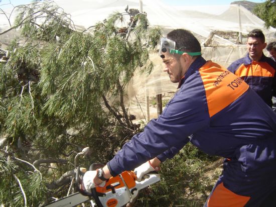 VOLUNTARIOS DE PROTECCI�N CIVIL TRABAJAN DURANTE TODO EL FIN DE SEMANA EN REALIZAR LABORES DE LIMPIEZA EN INFRAESTRUCTURAS P�BLICAS Y PRIVADAS TRAS TEMPORAL DE VIENTO