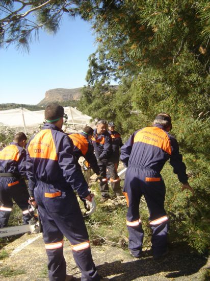 VOLUNTARIOS DE PROTECCI�N CIVIL TRABAJAN DURANTE TODO EL FIN DE SEMANA EN REALIZAR LABORES DE LIMPIEZA EN INFRAESTRUCTURAS P�BLICAS Y PRIVADAS TRAS TEMPORAL DE VIENTO