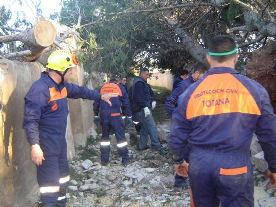 VOLUNTARIOS DE PROTECCI�N CIVIL TRABAJAN DURANTE TODO EL FIN DE SEMANA EN REALIZAR LABORES DE LIMPIEZA EN INFRAESTRUCTURAS P�BLICAS Y PRIVADAS TRAS TEMPORAL DE VIENTO