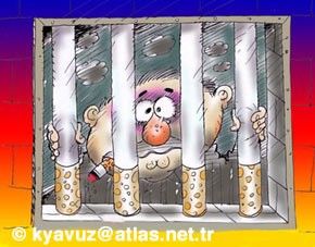 foto noticia