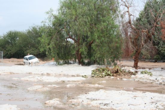 EL ALCALDE Y LOS CONCEJALES DE SERVICIOS Y AGRICULTURA VISITAN LAS ZONAS DEL MUNICIPIO MS AFECTADAS POR EL TEMPORAL DE LLUVIA Y GRANIZO CON EL FIN DE CONOCER LOS DAOS PRODUCIDOS 