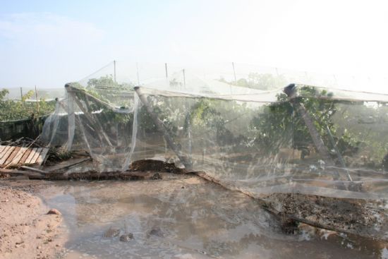 EL ALCALDE Y LOS CONCEJALES DE SERVICIOS Y AGRICULTURA VISITAN LAS ZONAS DEL MUNICIPIO MS AFECTADAS POR EL TEMPORAL DE LLUVIA Y GRANIZO CON EL FIN DE CONOCER LOS DAOS PRODUCIDOS 