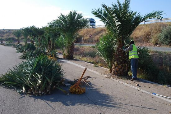 LA CONCEJALÍA DE SERVICIOS Y MANTENIMIENTO INTEGRAL DE LA CIUDAD HA INICIADO UN PLAN DE CHOQUE PARA LIMPIAR LOS PARQUES Y ZONAS COMUNES VERDES EN EL POLÍGONO INDUSTRIAL "EL SALADAR"