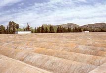 foto noticia foto noticia