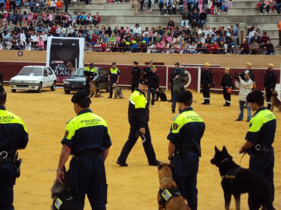 foto noticia