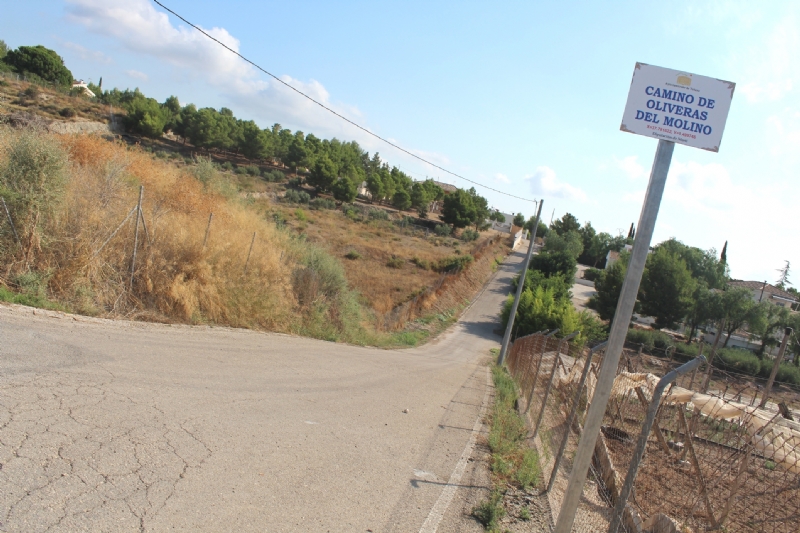 Vdeo. La Concejala de Caminos incorpora tres nuevos caminos rurales al Registro Municipal de Caminos de Totana, todos ellos en la diputacin de Mort