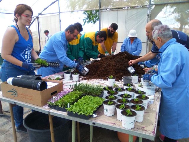 Los Centros de Día para la Discapacidad impulsan el Taller de Jardinería gracias a la colaboración de la empresa local "Viveros Bermejo"