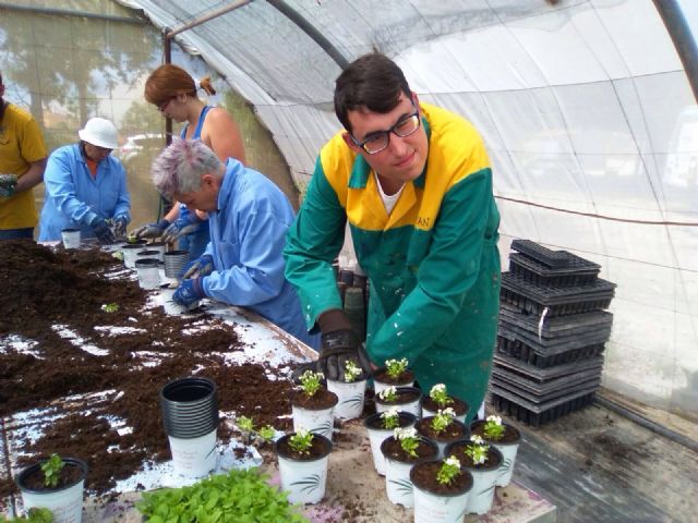 Los Centros de Día para la Discapacidad impulsan el Taller de Jardinería gracias a la colaboración de la empresa local "Viveros Bermejo"