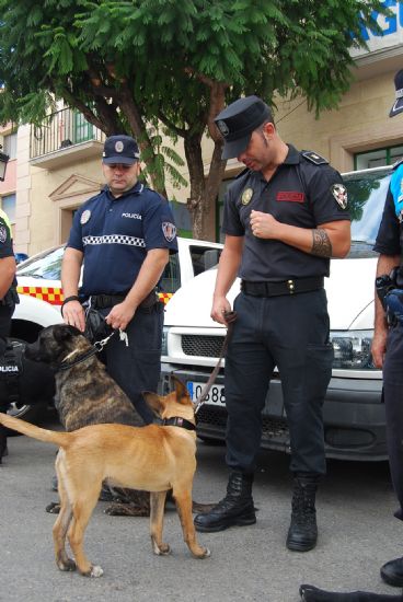 foto noticia