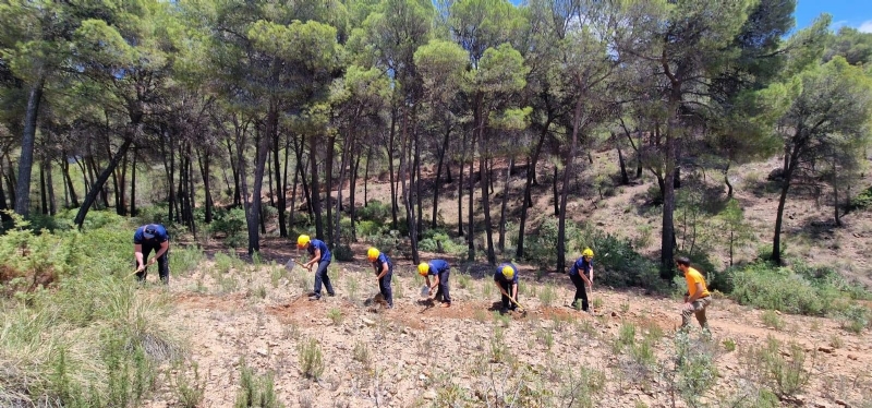 Actualizarn el Plan de Emergencias Municipal de Totana para afrontar la previsin de emergencias y catstrofes en el territorio local