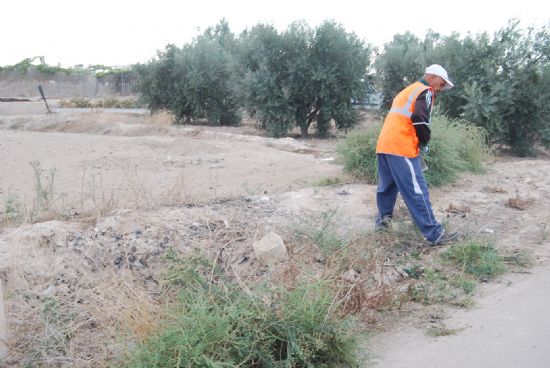 OPERARIOS CONTRATADOS EN EL PROGRAMA DE LOS CONSEJOS COMARCALES REALIZAN TRABAJOS DE LIMPIEZA Y ACONDICIONAMIENTO EN LA RED CAMINOS RURALES DEL MUNICIPIO DE TOTANA