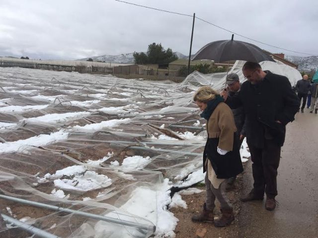 La consejera de Agricultura y el alcalde de Totana visitan los parrales de uva de mesa damnificados en El Raiguero por el temporal de nieve 
