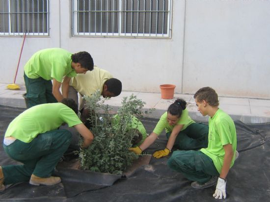 SE SOLICITA A LA COMUNIDAD AUTÓNOMA SUBVENCIONES PARA INTENTAR EL DESARROLLO DE PROGRAMAS DE CUALIFICACIÓN PROFESIONAL INICIAL EN LAS MODALIDADES "AUXILIARES DE OFICINA" Y "AUXILIARES EN VIVEROS Y JARDINES" 