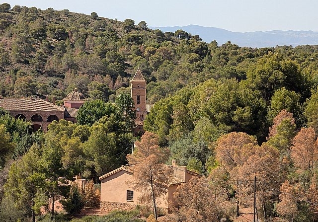 Operarios de la Consejera de Medio Ambiente realizan trabajos de tala y retirada de la masa arbrea seca en el paraje de La Santa, a consecuencia de la sequa y las plagas fitosanitarias